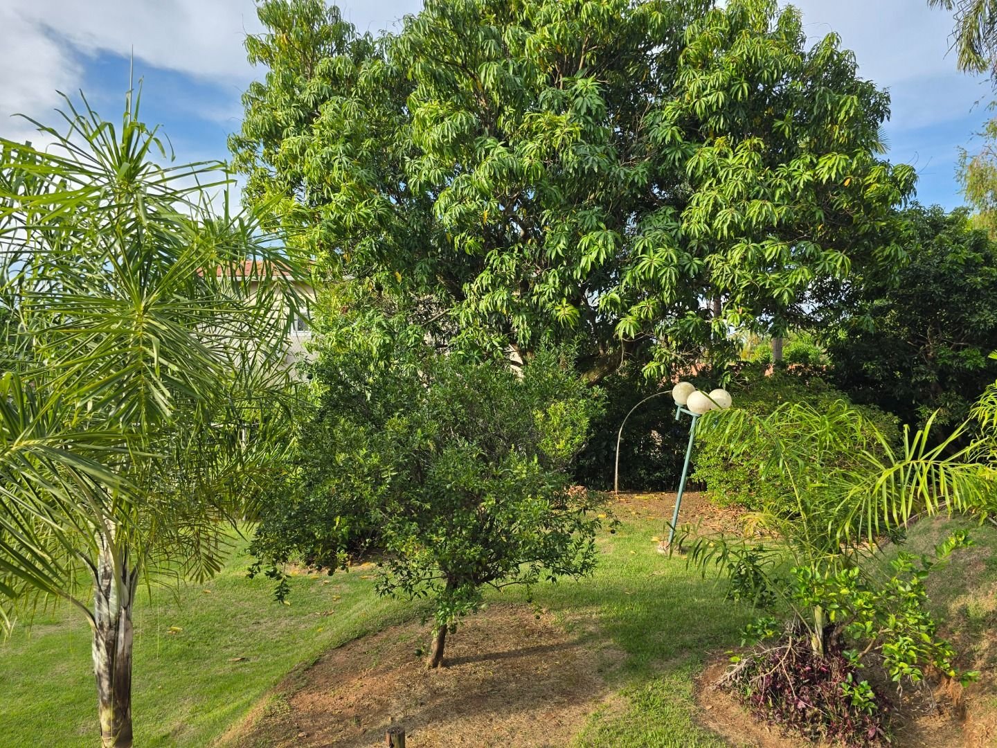 Imagem da propriedade CA0337 19