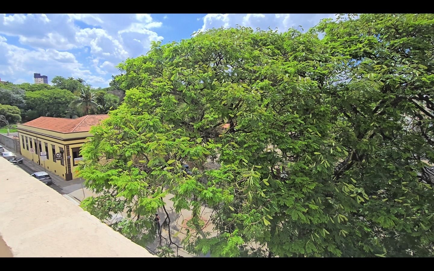 Imagem da propriedade SL0003 11