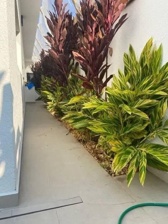 Imagem da propriedade CA0477 18