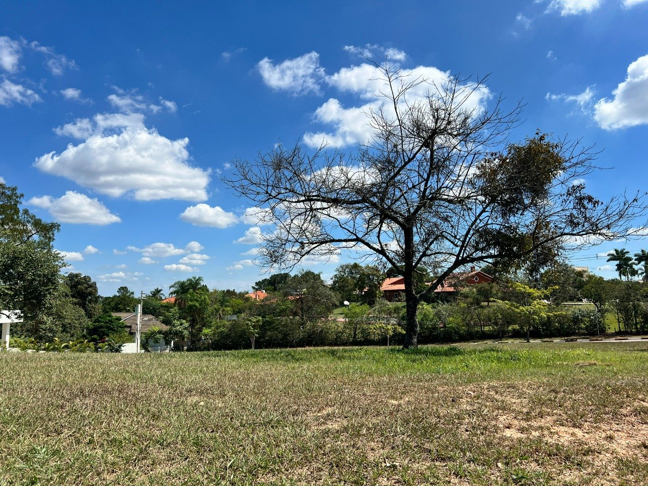 Imagem da propriedade 533 4