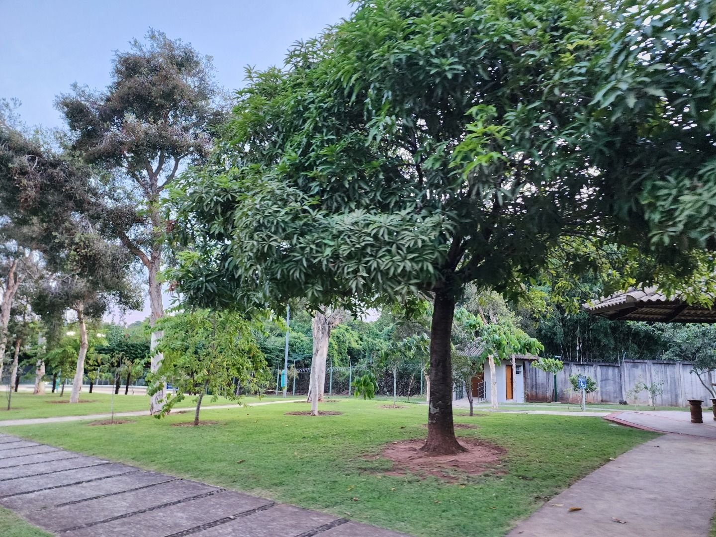 Imagem da propriedade CA0093 27