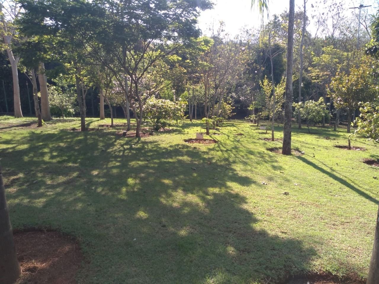 Imagem da propriedade CA0093 45