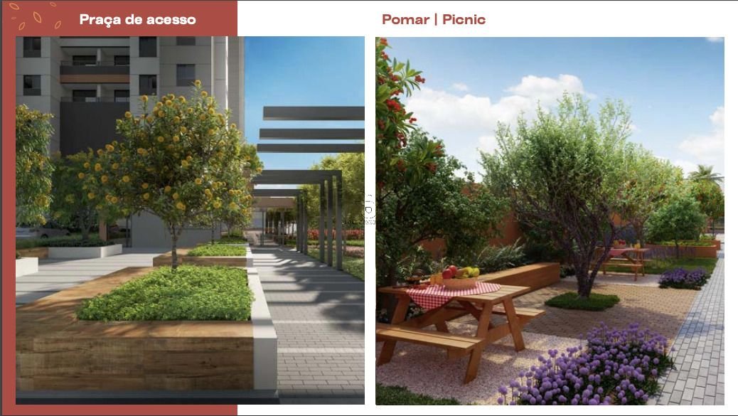 Imagem da propriedade AP0165 6